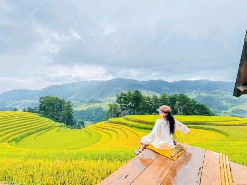 Tour Tây Bắc Mùa Lúa Chín | TP.HCM | Hà Nội | Mù Cang Chải